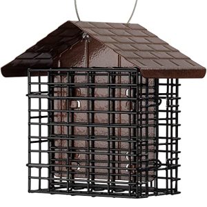 Suet Bird Feeder