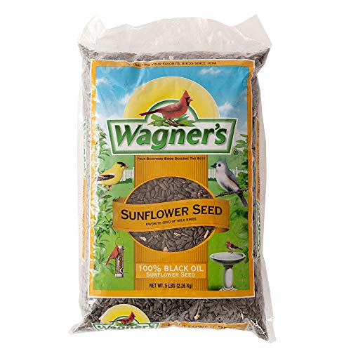 Sunflower Seed Bird Food