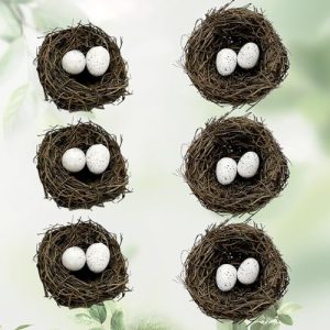 Tiny Bird Nest