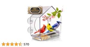 Top Rated Window Bird Feeders