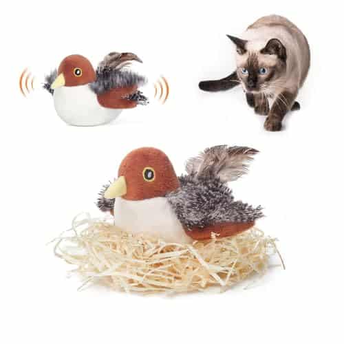 Toy Birds That Chirp