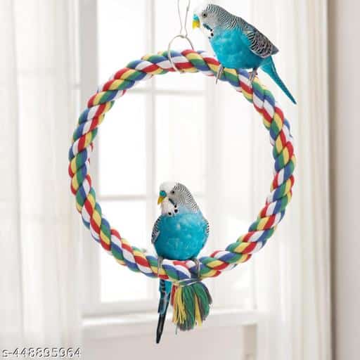 Toys for Birds Diy