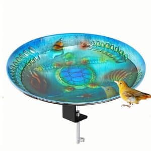 Turtle Bird Bath