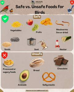 Unsafe Foods That Harm Birds