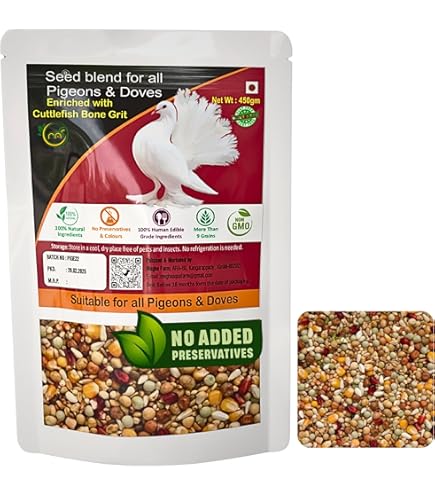 What Bird Seed Do Pigeons Eat