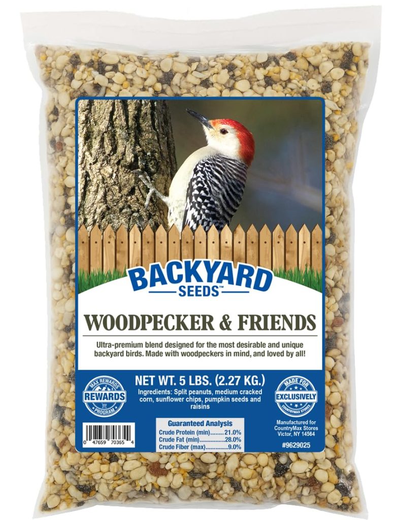 What Bird Seed Do Woodpeckers Eat