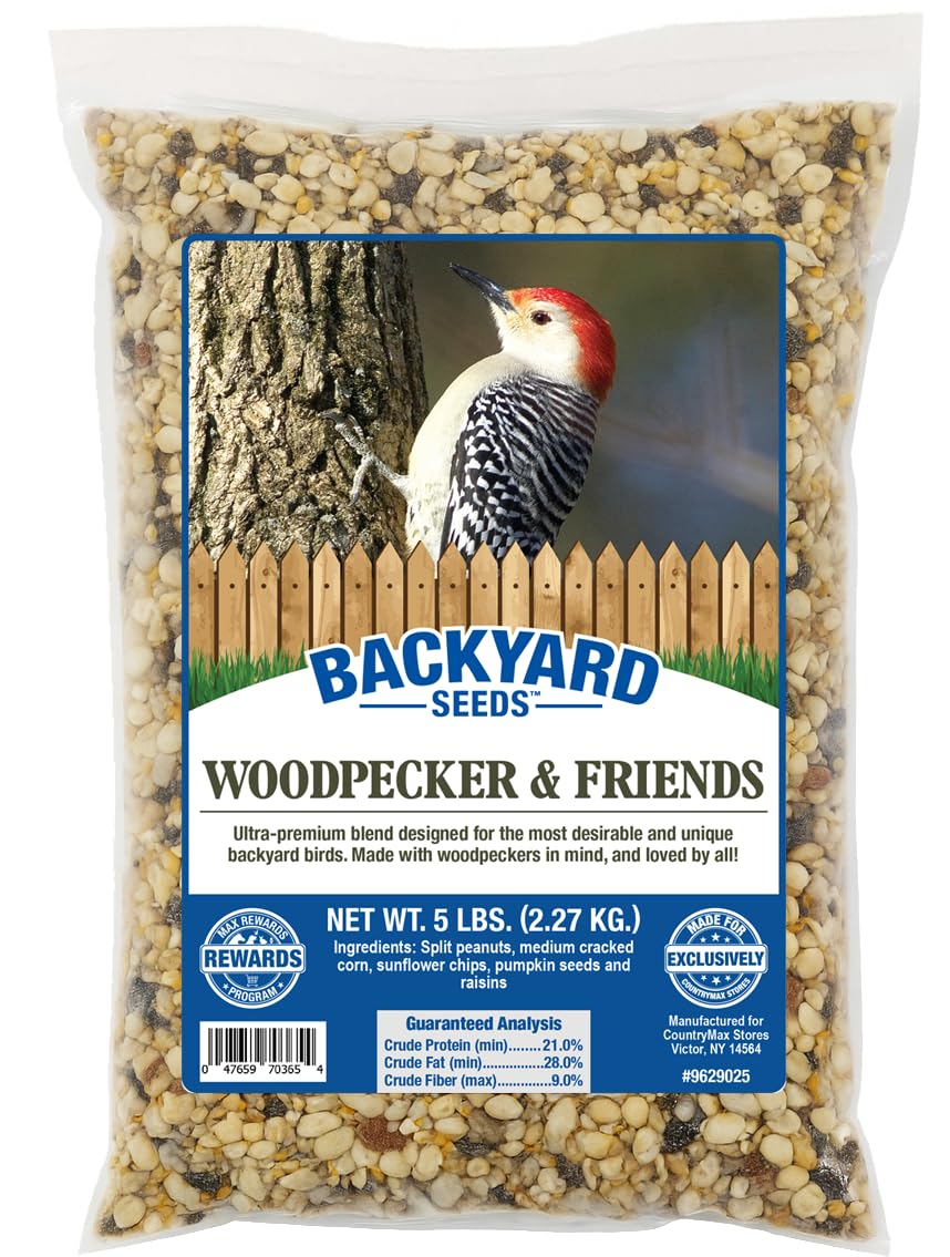 What Bird Seed Do Woodpeckers Eat