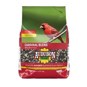 What Do Cardinals Eat