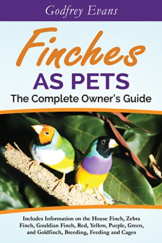 What Do Finches Eat in the Wild