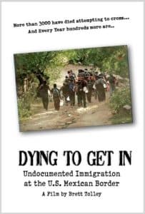 What Do Robins Eat in Summer