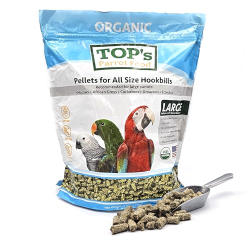 What Do Wild Parrots Eat