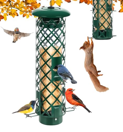 What Else Attracts Birds Besides Food