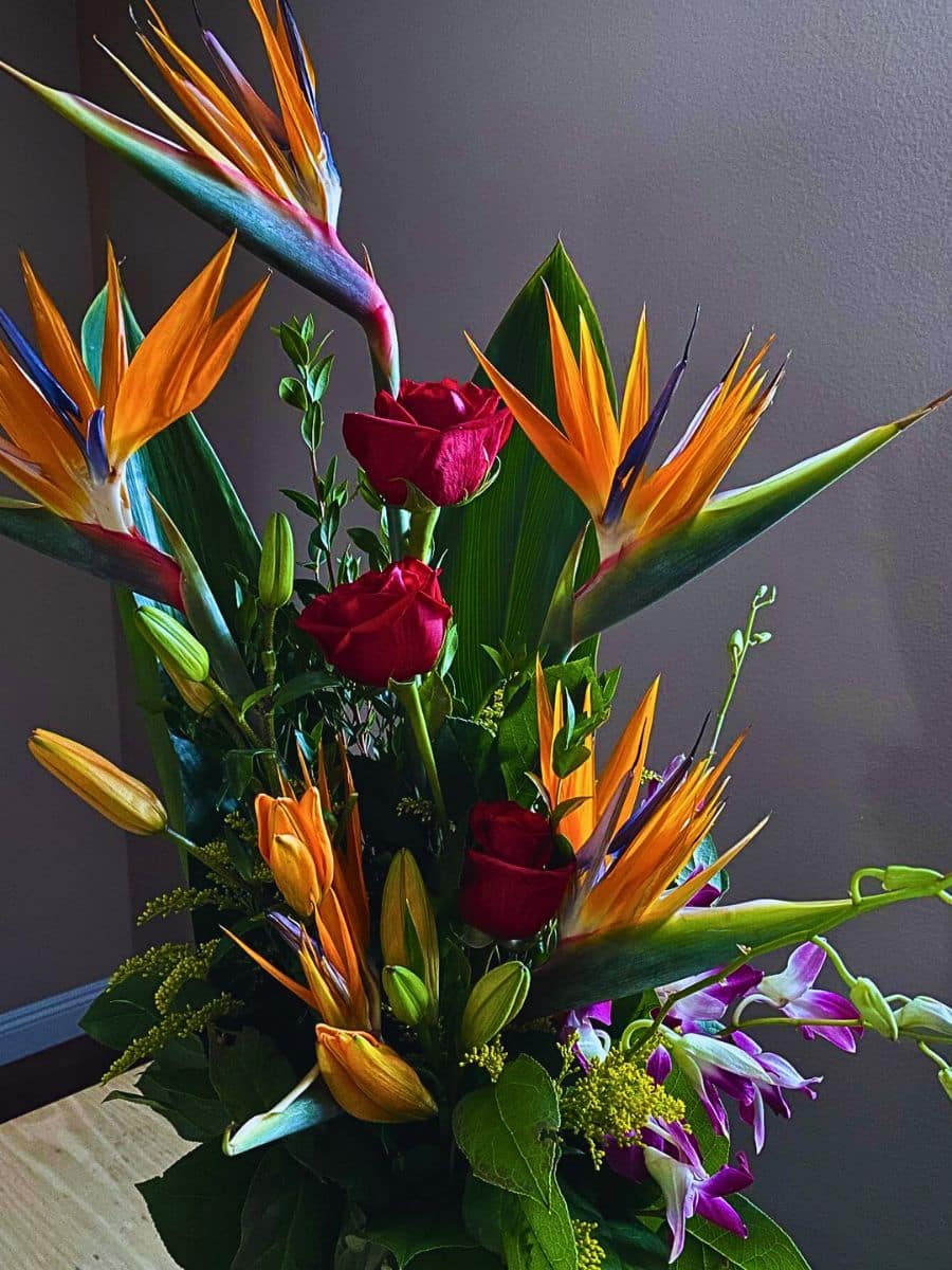What Flowers Go With Bird of Paradise