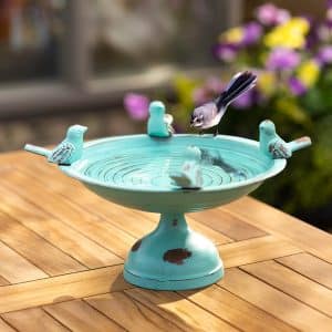 What is a Mississippi Bird Bath