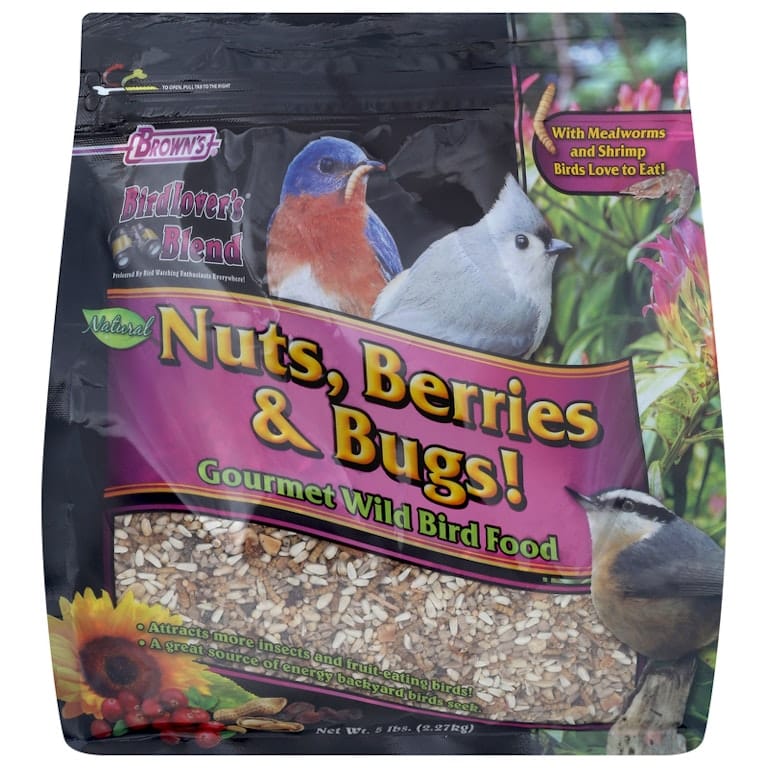 What is Bird Favorite Fruit And Insects