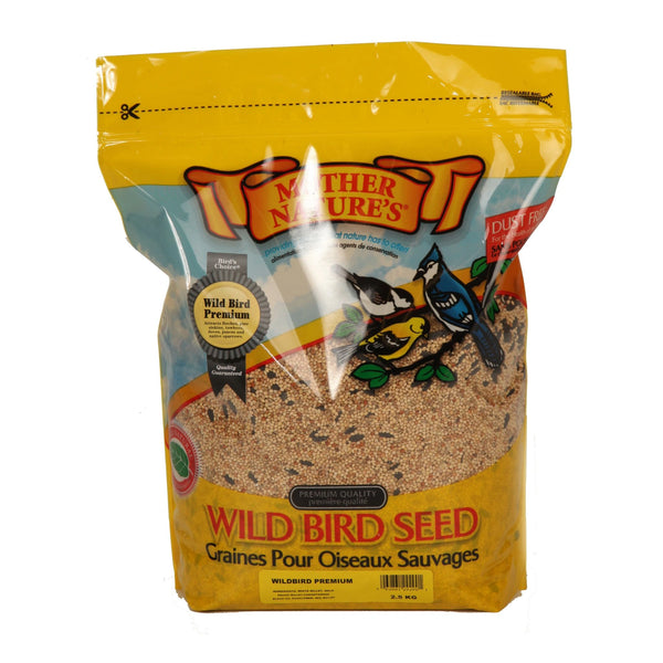 What is Bird Seed