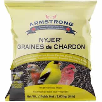 What is Nyjer Bird Seed