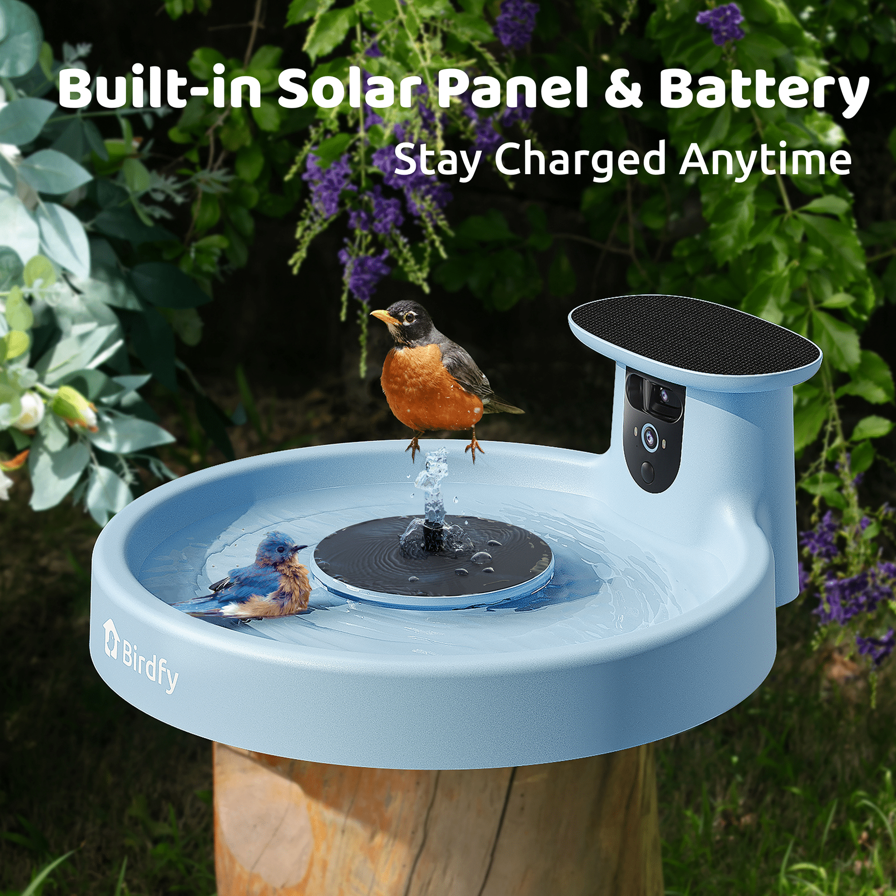 What is the Best Solar Fountain for Bird Bath