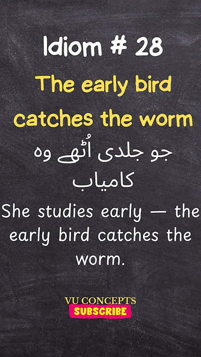 What is the Meaning of Early Bird Catches the Worm