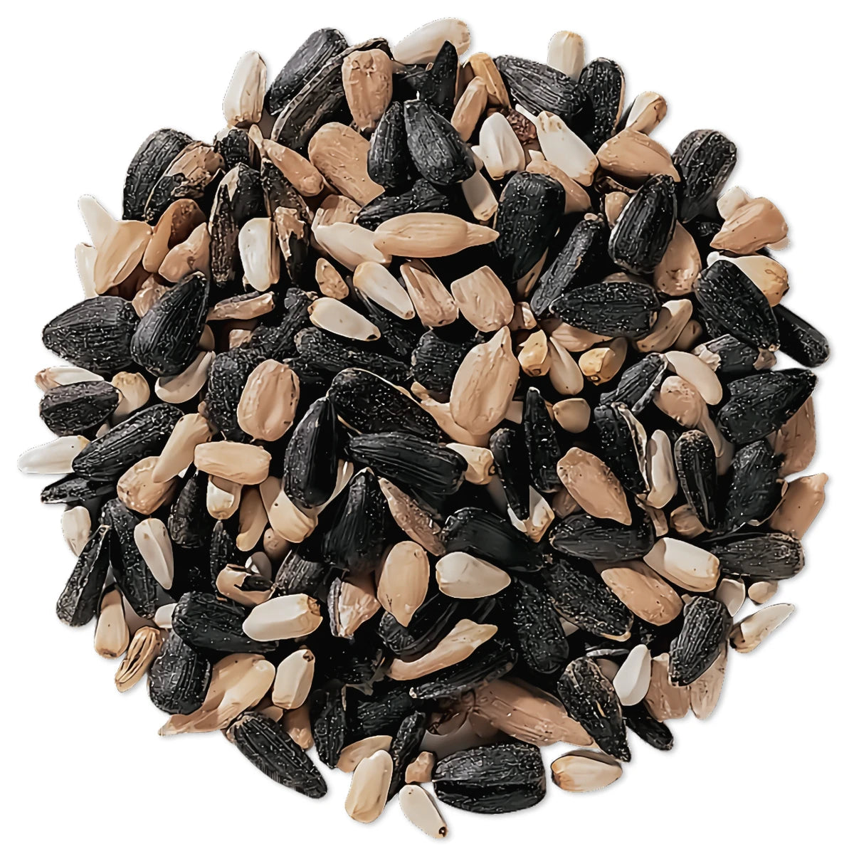What Seeds are in Wild Bird Seed