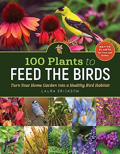 What to Feed Backyard Birds