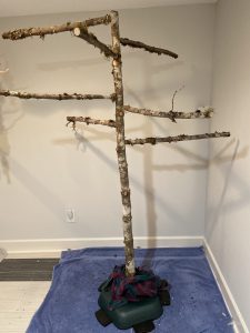What Tree to Make Bird Perch