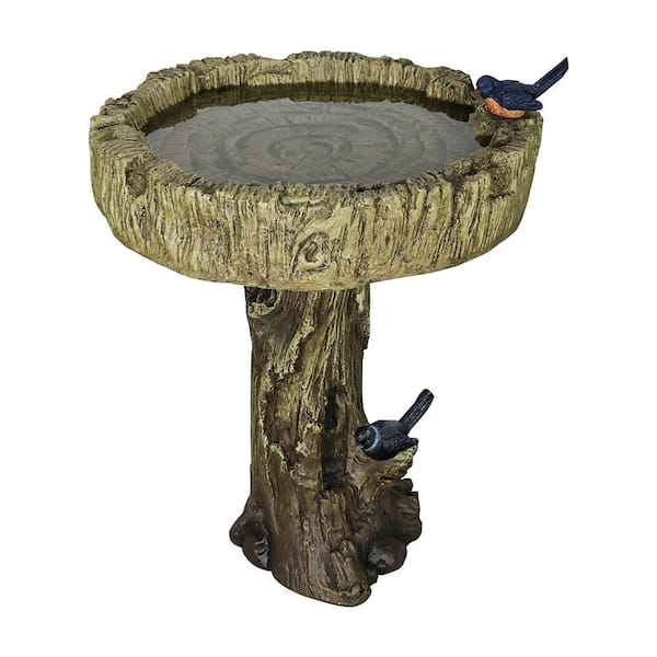 Whats a Bird Bath