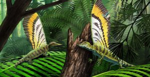 Where is the Broken Stone Bird of Ebora Forest
