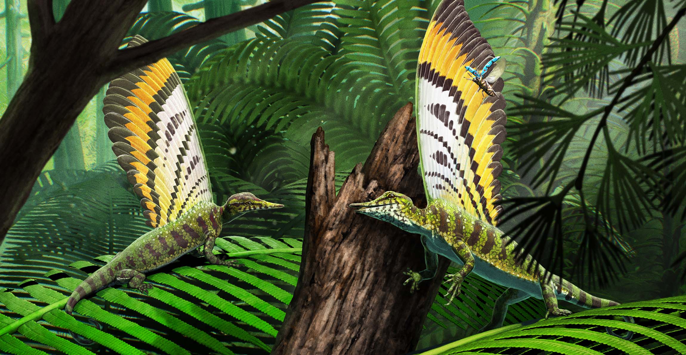 Where is the Broken Stone Bird of Ebora Forest