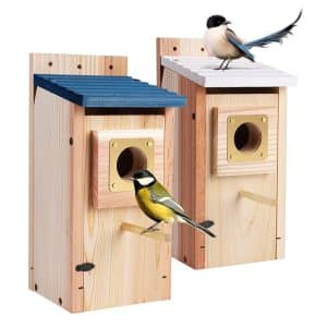 Where to Buy Bird Houses