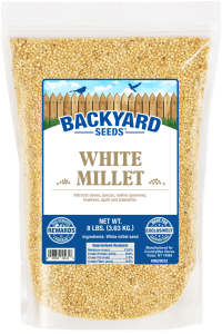Where to Buy White Millet Bird Seed