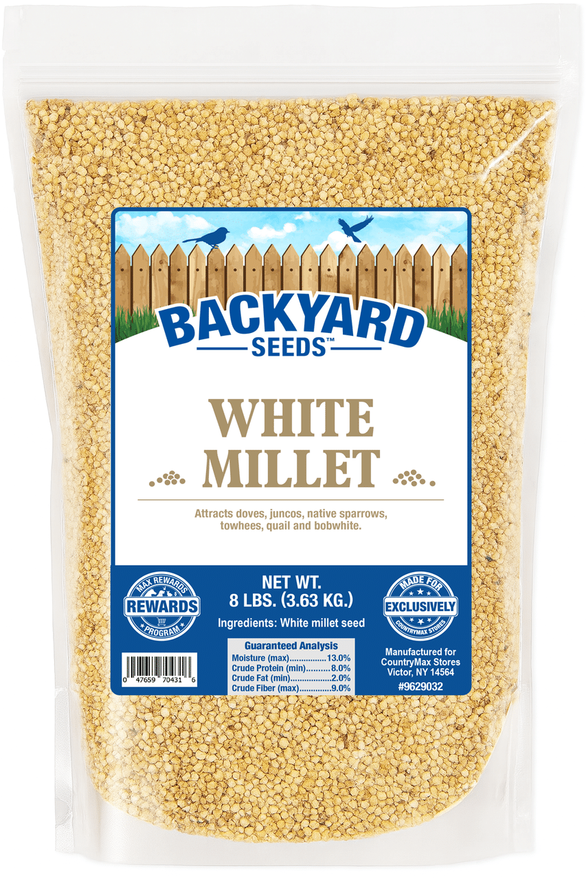 Where to Buy White Millet Bird Seed