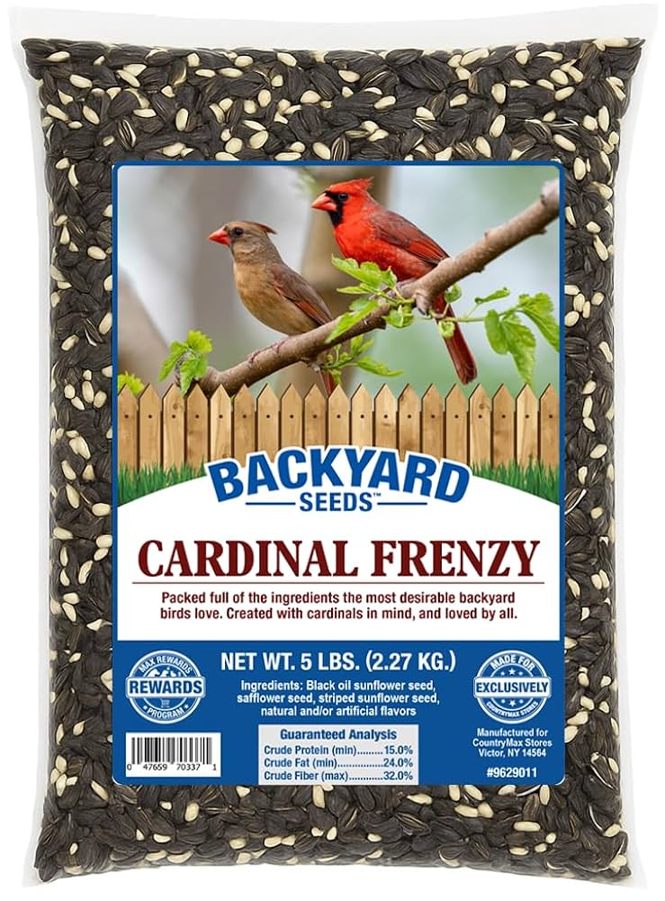 Where to Buy Wild Bird Seed in Bulk