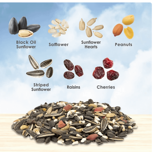 Why is Bird Seed So Expensive