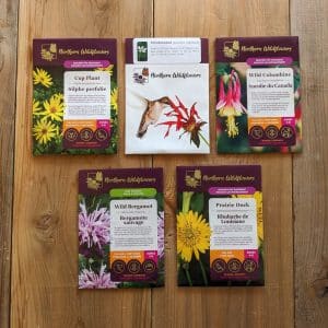 Wildflowers That Attract Birds