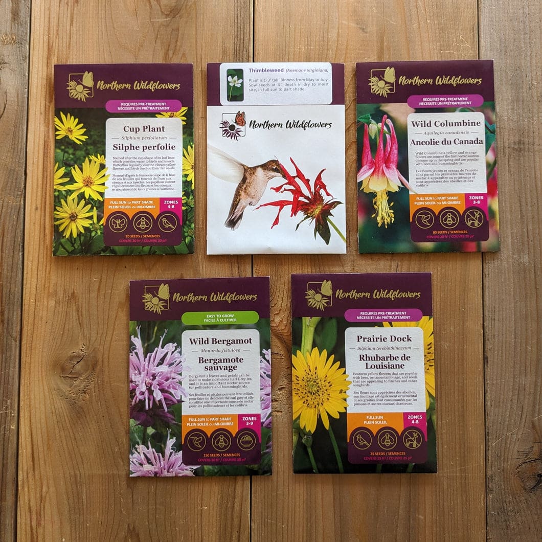 Wildflowers That Attract Birds