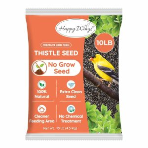 Will Thistle Bird Seed Grow