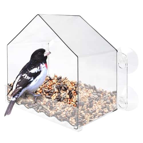 Window Bird Feeder for Cats