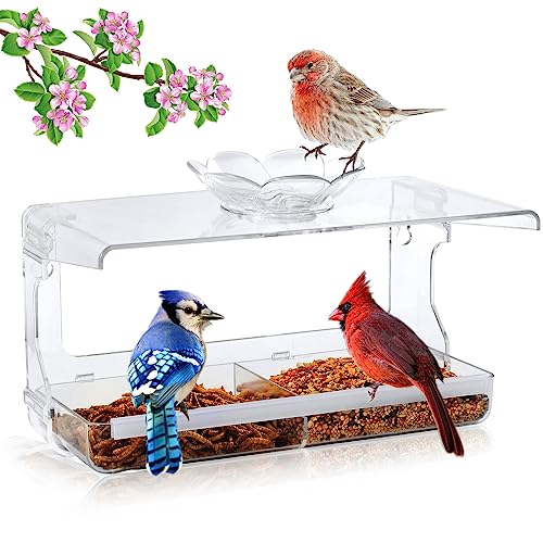 Window Sill Bird Feeder