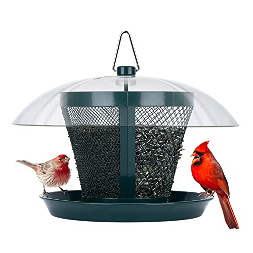 Winter Bird Feeder