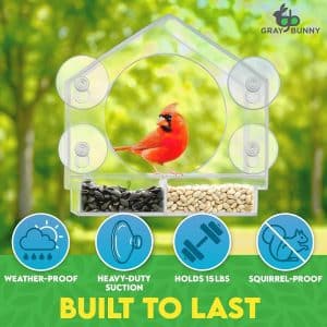 Winter Proof Window Bird Feeder