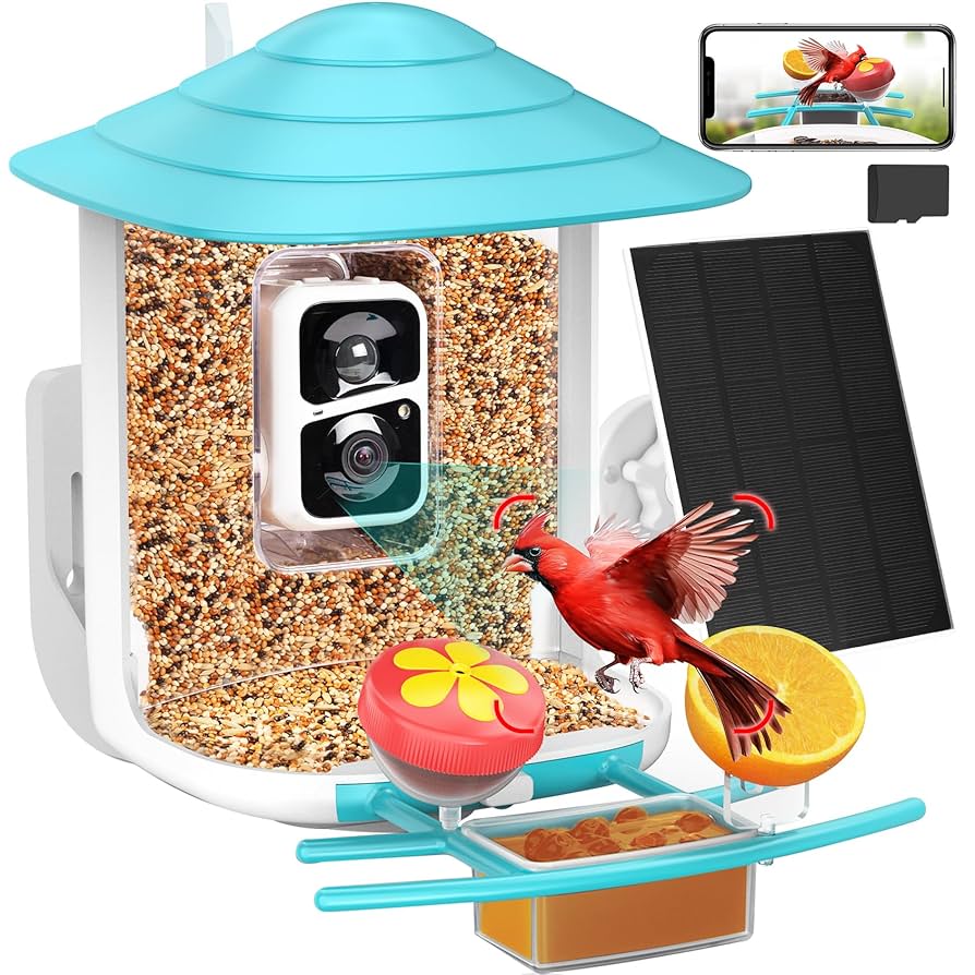 Wireless Camera for Bird Feeder