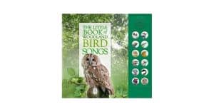 Woodland Bird Sounds