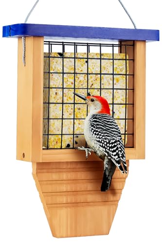 Woodpecker Bird Feeder