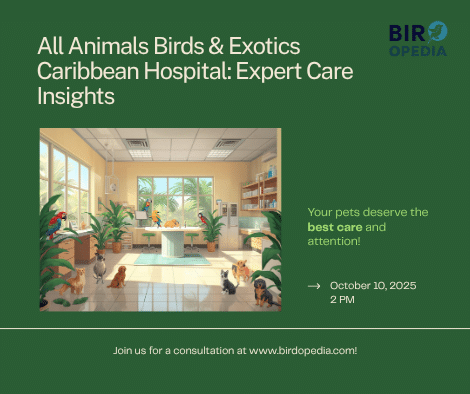 All Animals Birds & Exotics Caribbean Hospital
