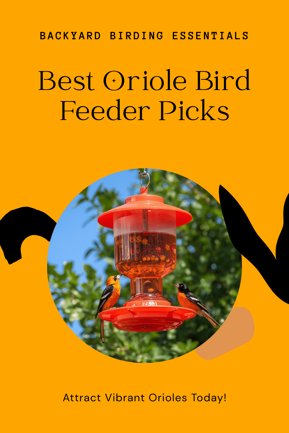 Best Oriole Bird Feeder