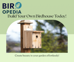Large Bird House Kits