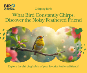What Bird Constantly Chirps