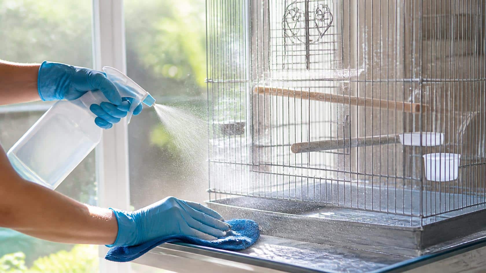 How to Disinfect a Bird Cage