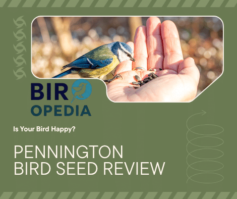 Is Pennington Bird Seed Good